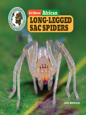 cover image of All About African Long-Legged Sac Spiders